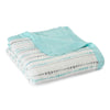 Aden + Anais Silky Soft Dream Blanket - PeppyParents.com
 - 3