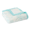 Aden + Anais Silky Soft Dream Blanket - PeppyParents.com
 - 4