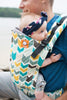 Tula Standard Baby Carrier